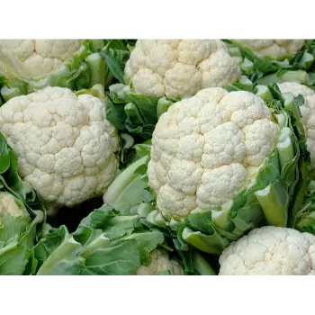 cauliflower (8)-7417093-15066.webp